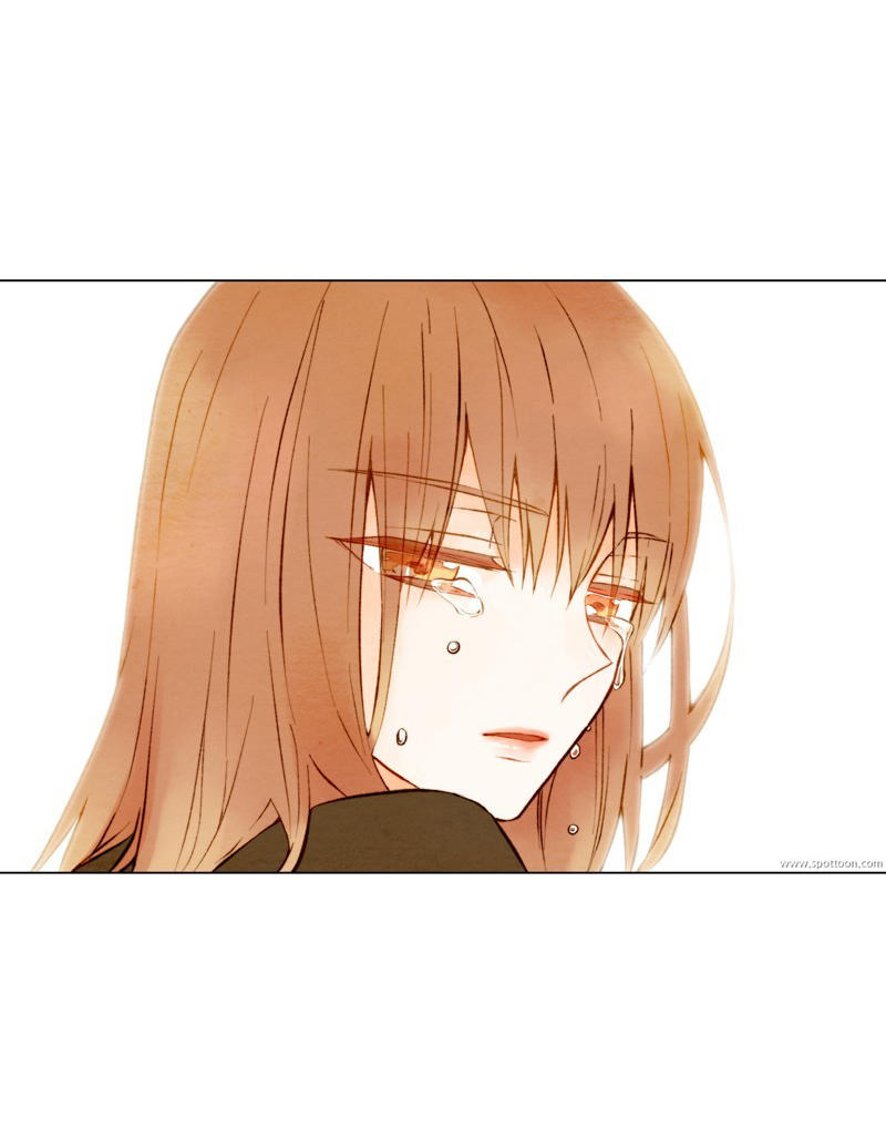 sao chép chapter 7 38