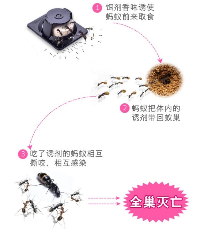 Set 06 viên diệt kiến Fudo Kagaku 3.5g - Hàng nội địa Nhật Bản (#Made in Japan)