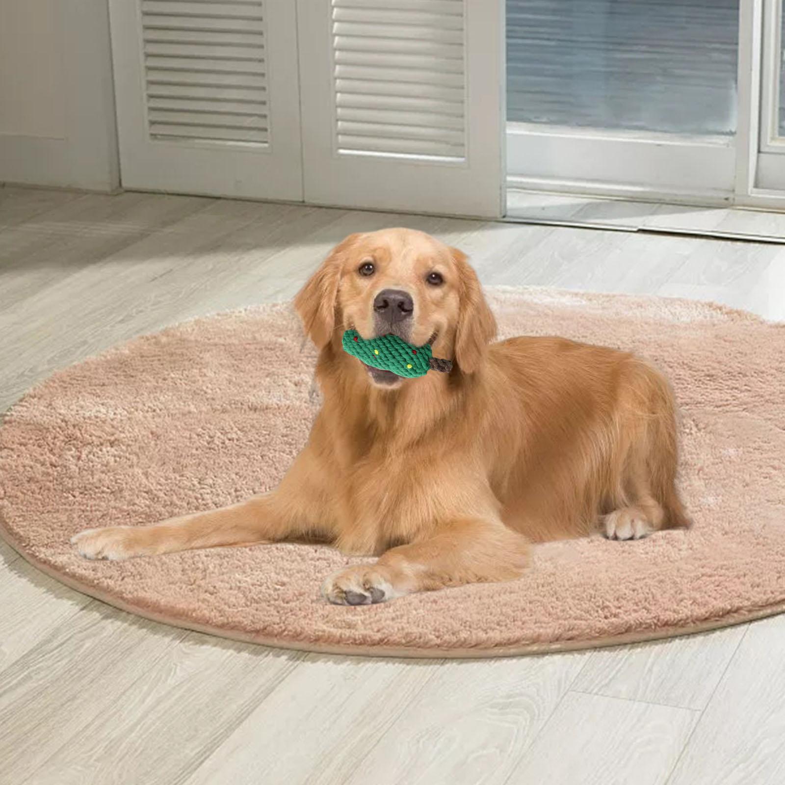 Dog Chew Rope Toy Interactive Playing Training Exercise Pet Supplies