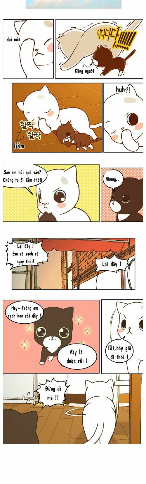 papi nyang chapter 10 3