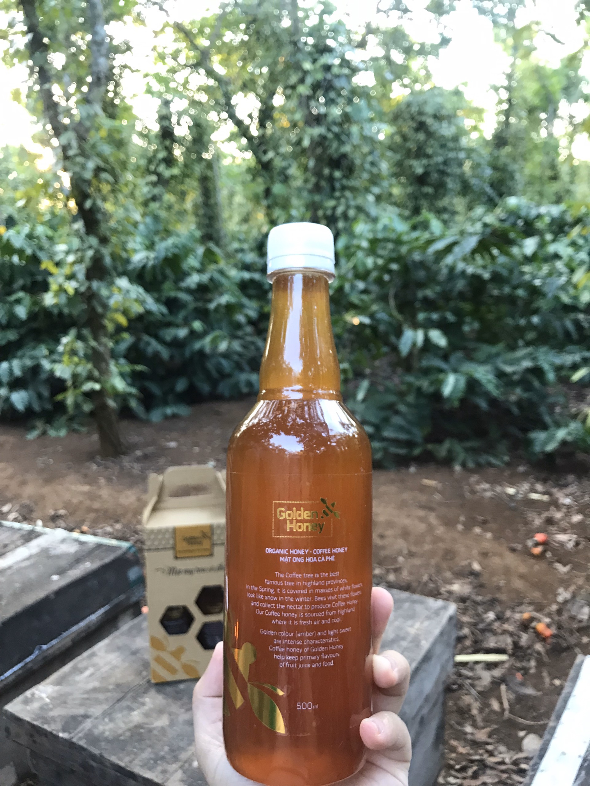 Mật ong Golden honey hỗ trợ tăng sức đề kháng, giảm ho, viên họng, dưỡng ẩm da và môi cang bóng mịn màng, dùng nấu ăn - QuaTangMe Extaste