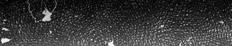 tôi sẽ cứu lấy nam chính tiểu thuyết bl chapter 23.1 40