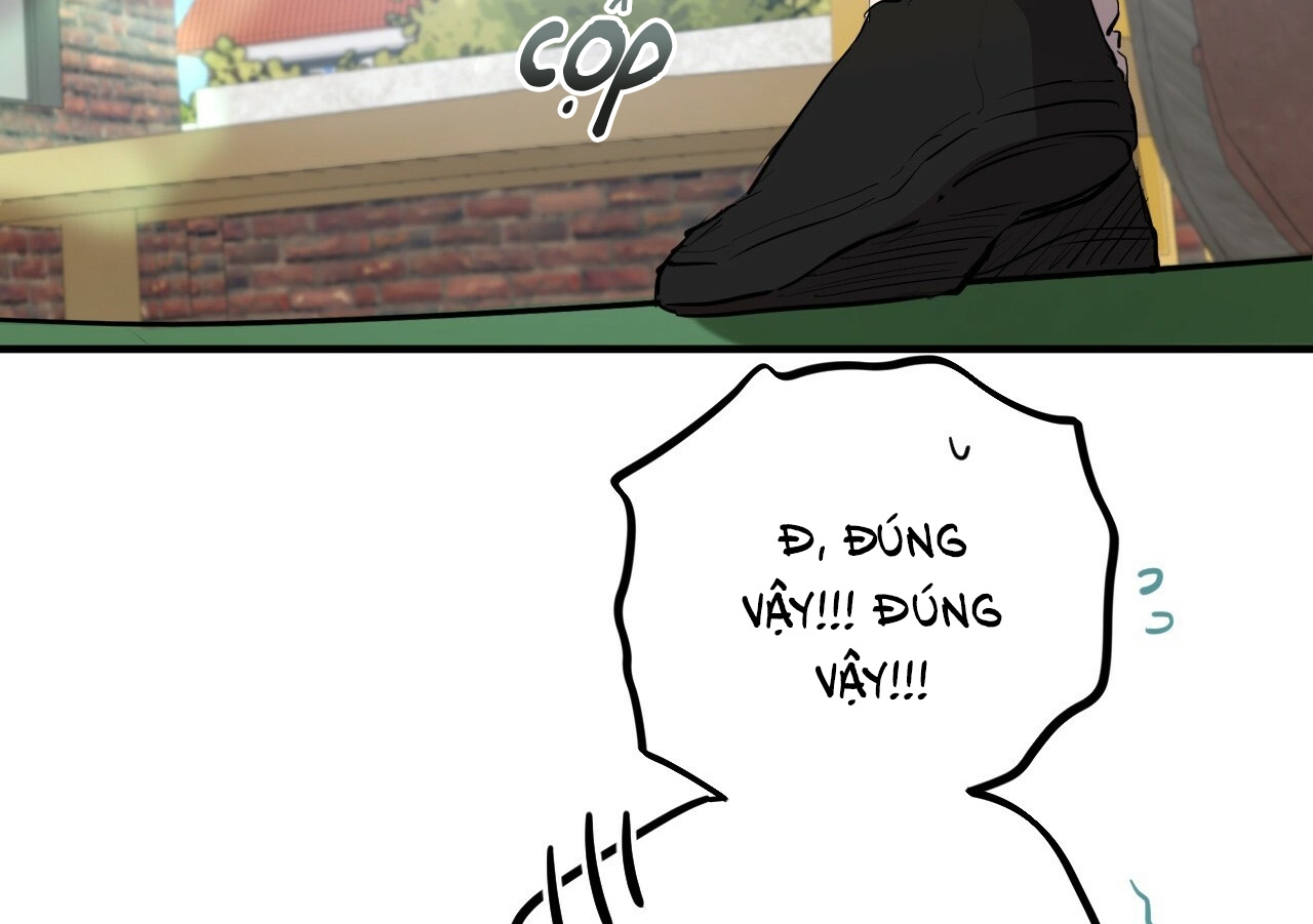 đàn thỏ của habibi chapter 19 120