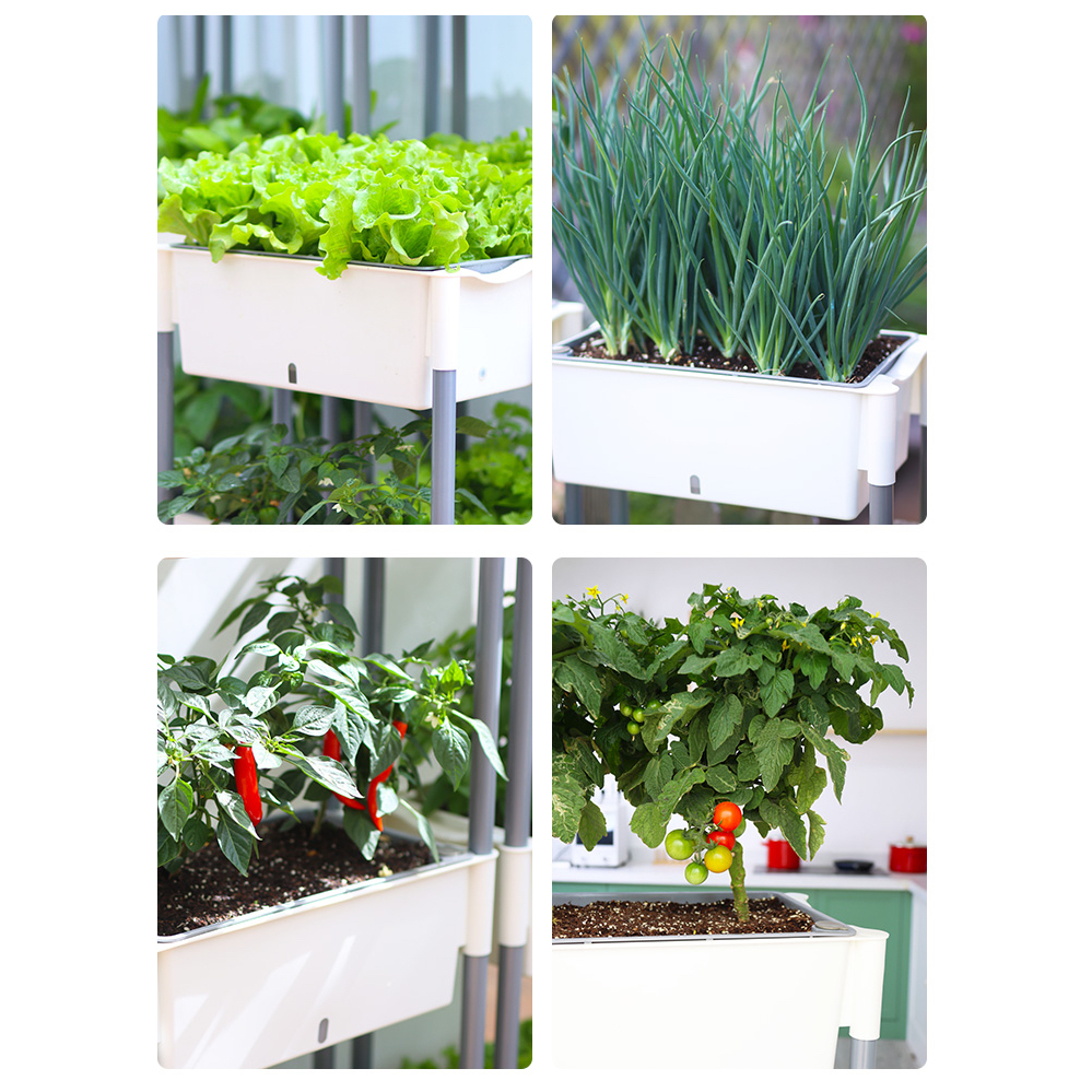 Chậu trồng rau Oliz D202. Chậu trồng rau thông minh tự dưỡng, có bánh xe di chuyển, phù hợp nhiều không gian