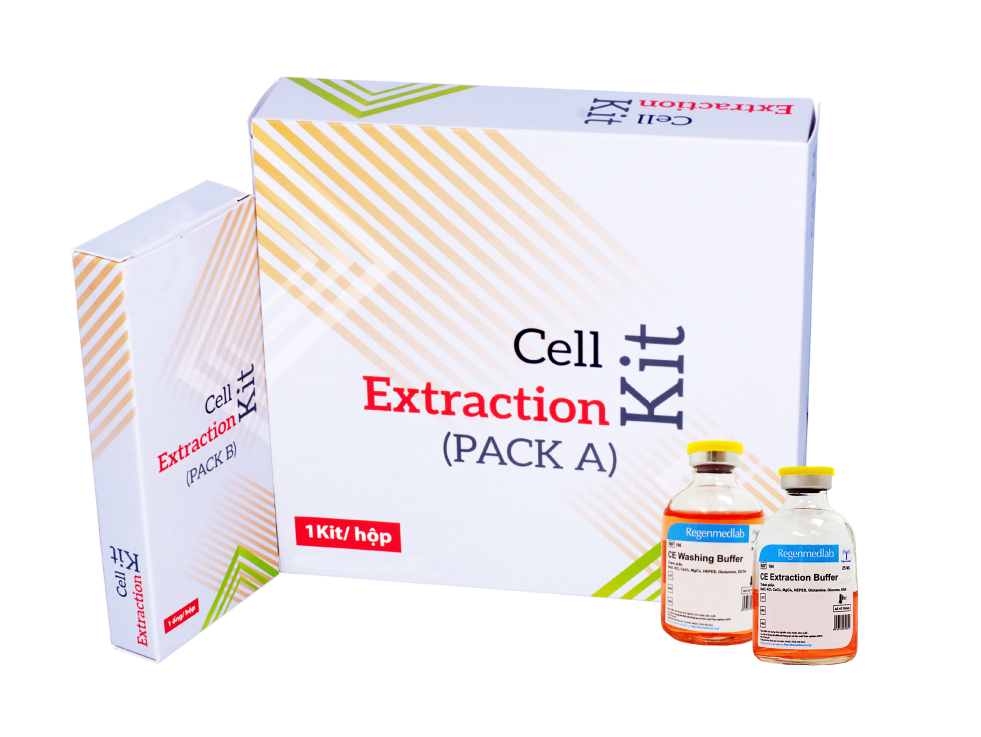Cell Extraction Kit - PHÂN TÁCH TẾ BÀO