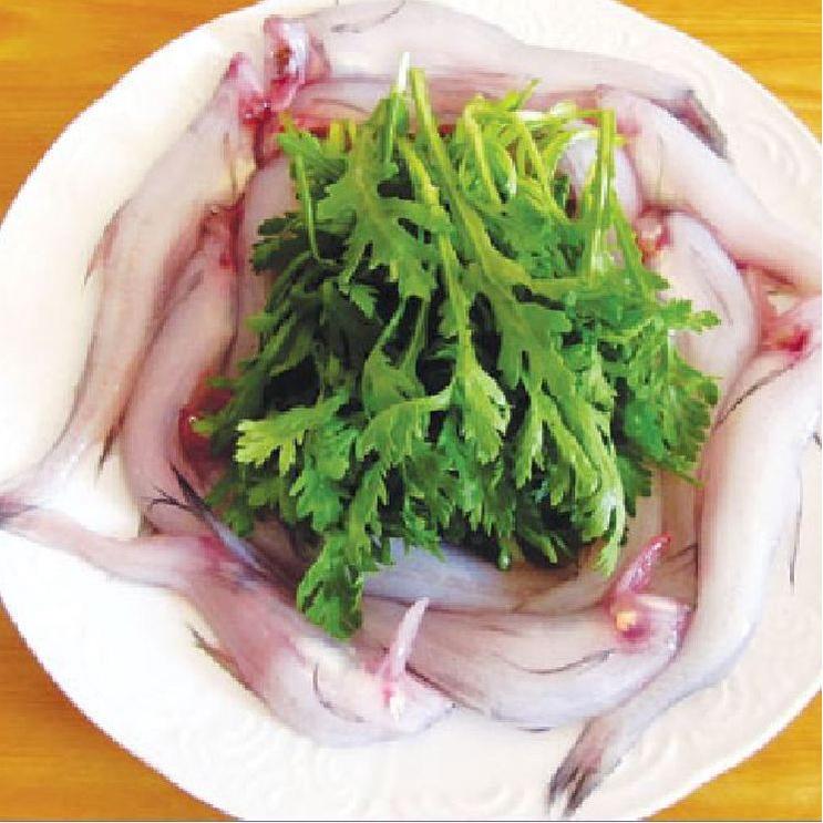 Hạt Giống Rau Tần Ô Lá Tròn - 1kg