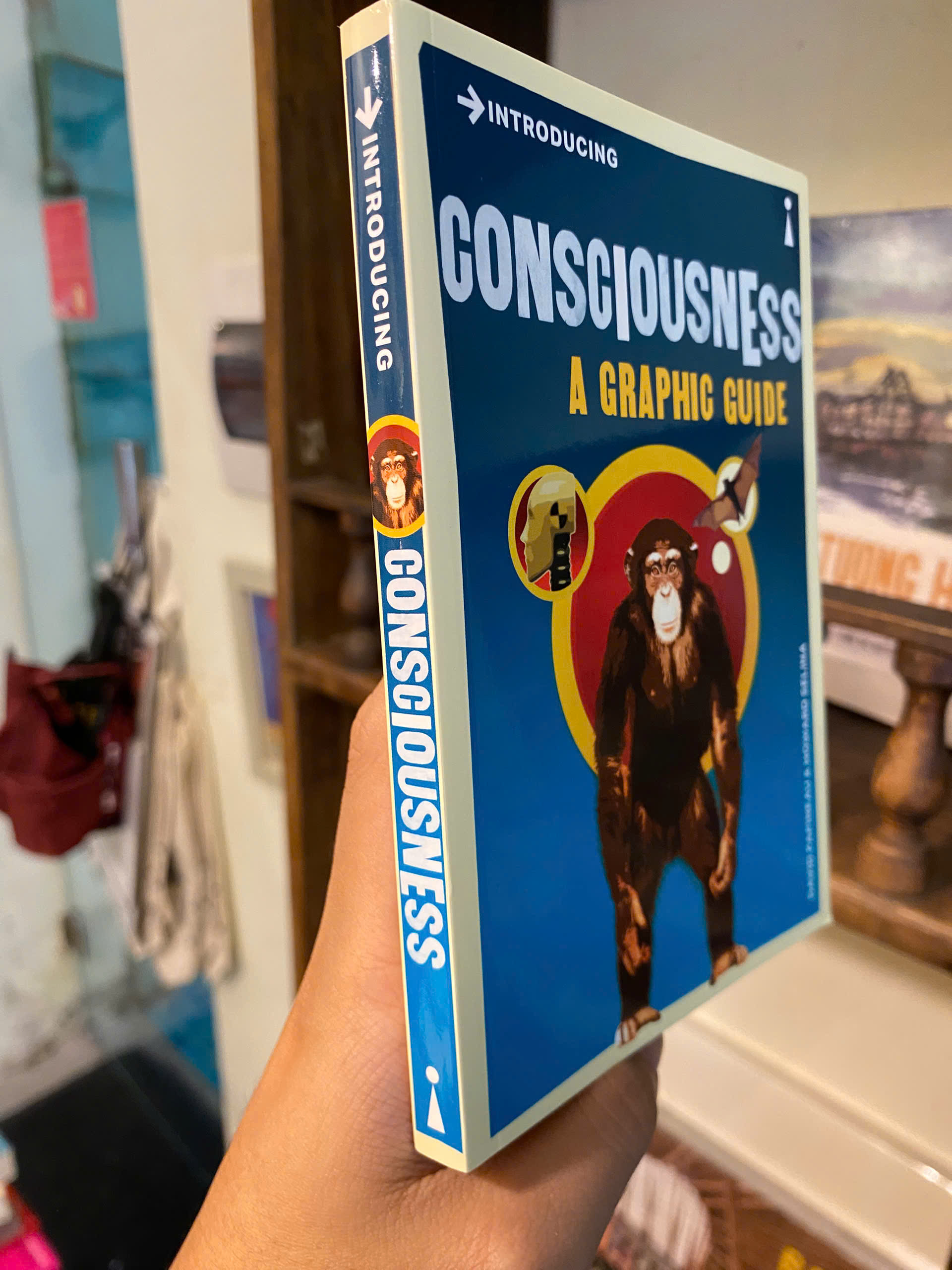 Sách - Introducing Consciousness: A Graphic Guide by David Papineau | Philosophy / Nonfiction