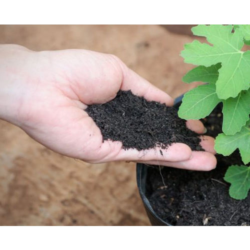 Đất Sạch Hữu Cơ Trồng Hoa Kiểng Sfarm Cao Cấp - Túi 2.5kg - Chuyên Dùng Cho Hoa Kiễng