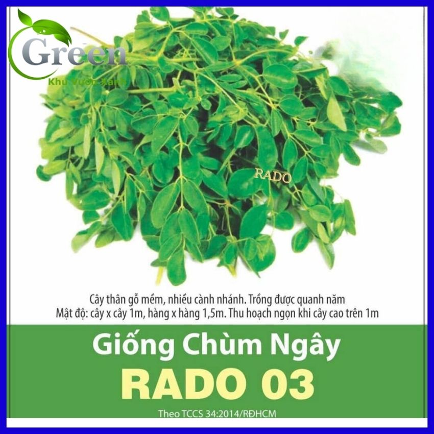 Hạt Giống Chùm Ngây
