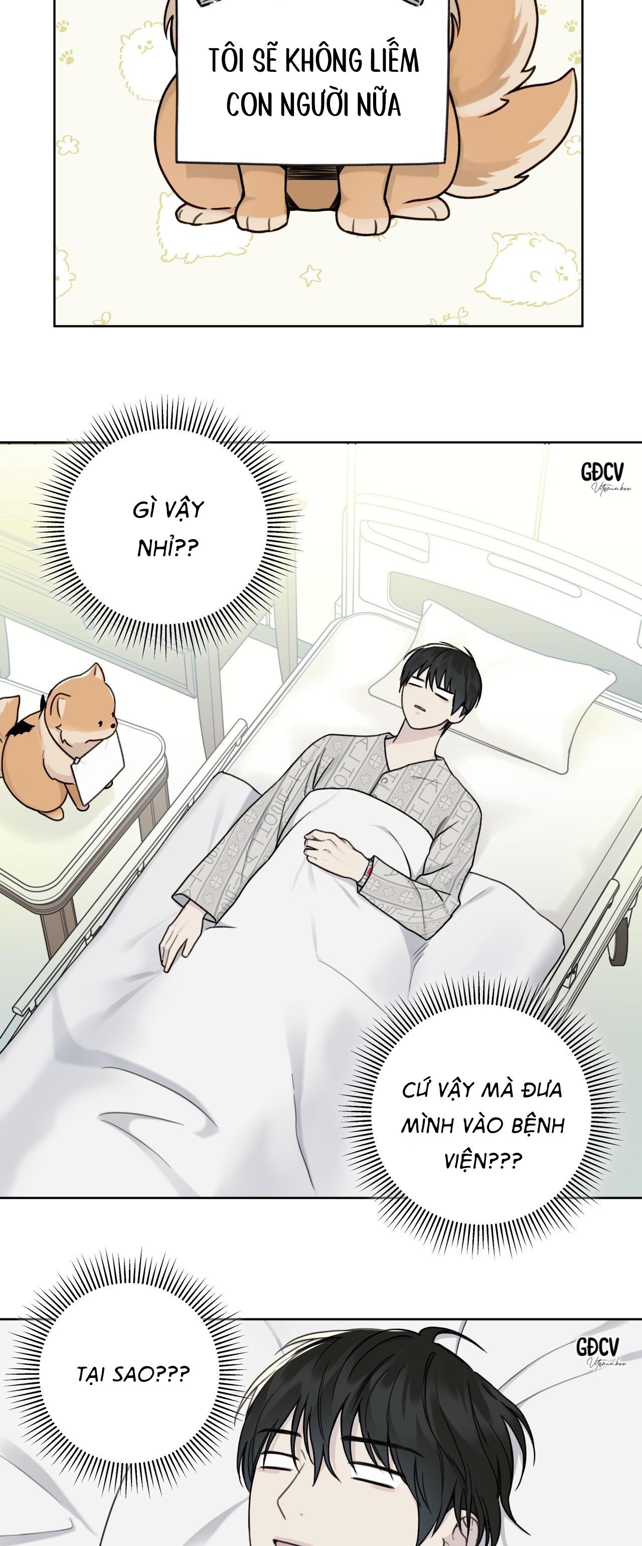 hiểm họa guiding chapter 9 16