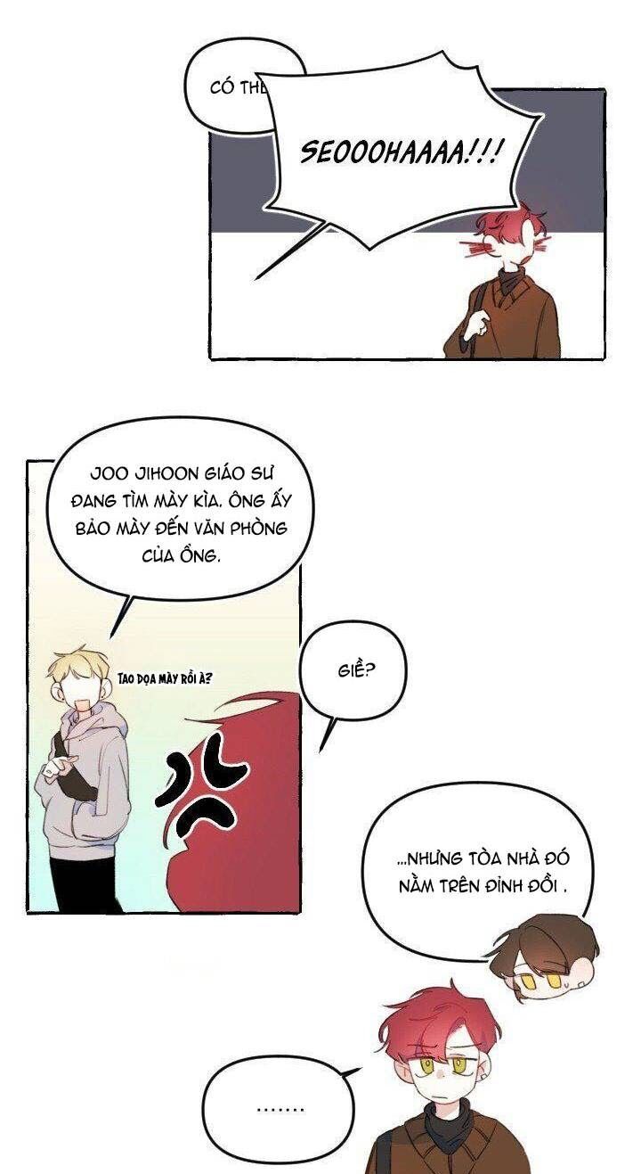 lời yêu thì cần app để dịch không? chapter 8 8