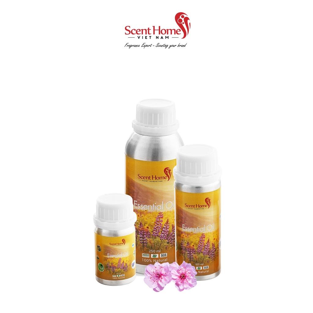 Tinh dầu Scent Homes - mùi hương