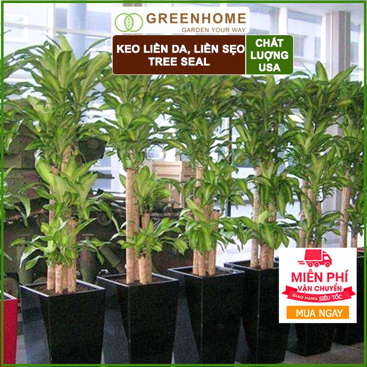 Keo liền sẹo cho cây Tree Seal, chai 100gr, hỗ trợ chiết cành, tạo dáng, bảo vệ vết cắt |Greenhome