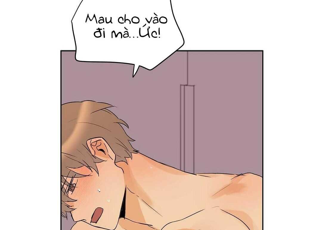 guide cấp b chapter 38 55