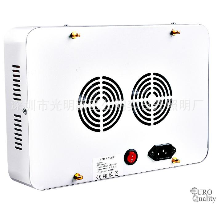 Đèn LED trồng cây trong nhà 300w Super Growth
