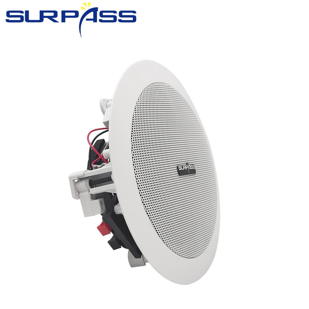 Aiyima 2 Mini Loa Tweeter Trình Điều Khiển 6Ohm 20W Màng Lụa Loa Neodymium Loa Treble Cho Ngôi Nhà Mô âm Thanh Xe Hơi