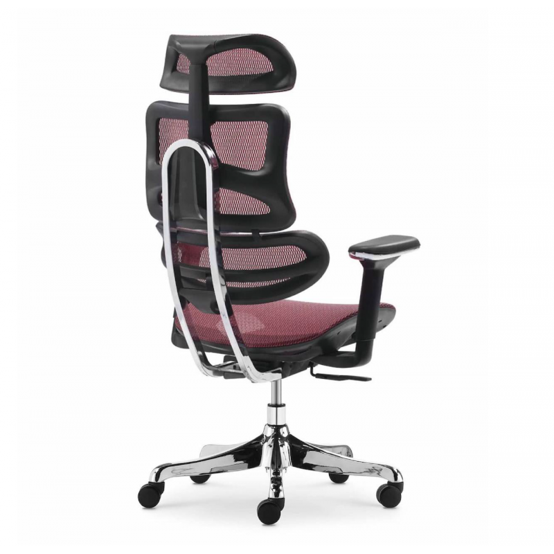 Ghế Làm Việc Công Thái Học - Ergonomics Ngả Lưng Thư Giãn AMA-CM-B137A