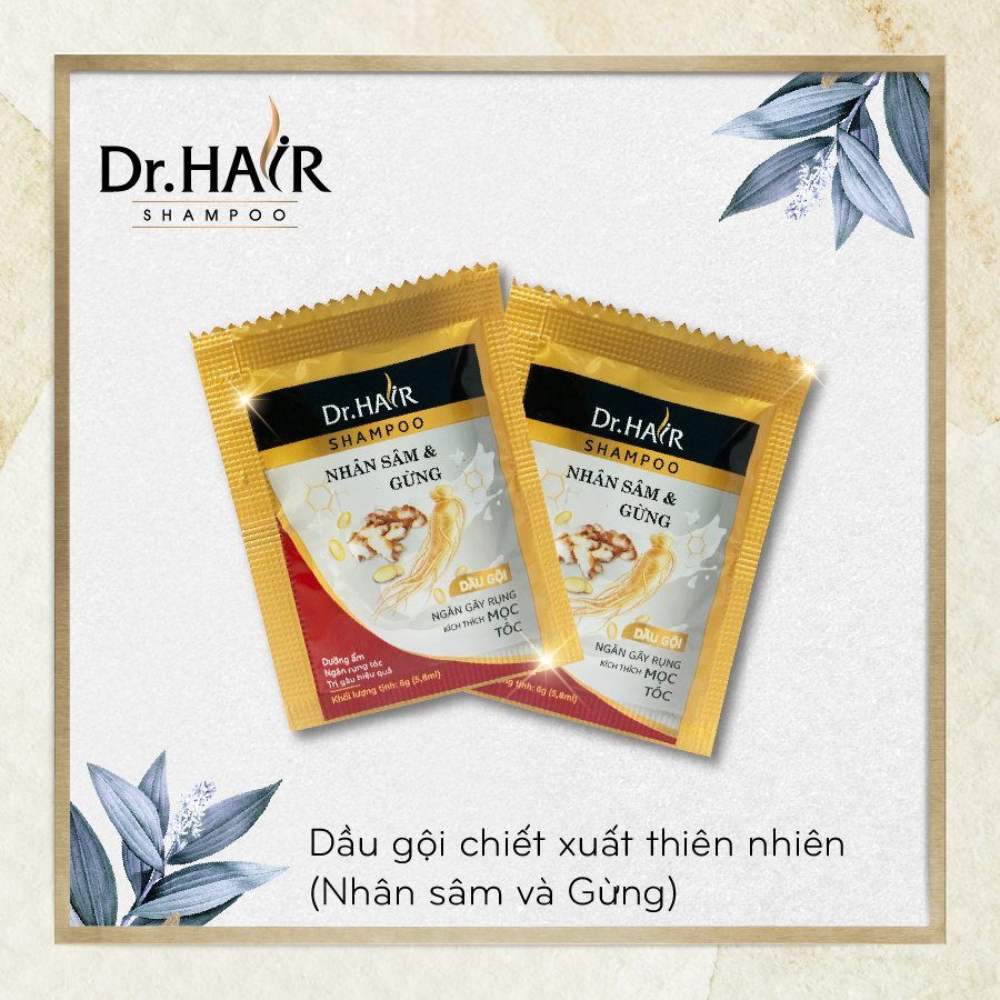 Dầu Gội Dây Hương Nhân Sâm và Gừng Chăm Sóc Tóc Dr.Hair 6g/gói