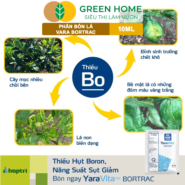 Phân Bón Lá Bortrac GreenHome. Gói 10ml, Giúp Tăng Sức Sống Hạt Phấn, Hạn Chế Rụng Hoa – Trái Non