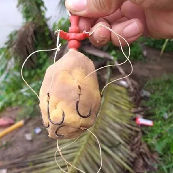 Mồi khoai lang ủ câu cá chép, trôi - Mè - 1Kg