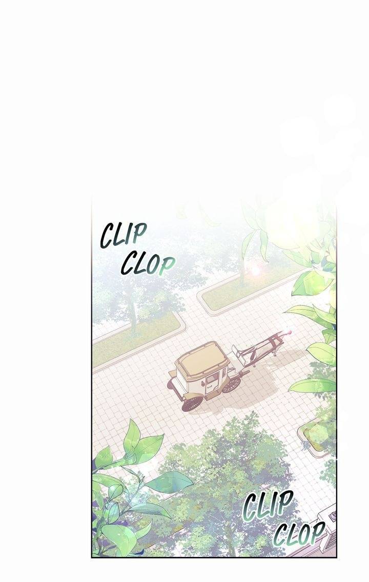 nàng dâu bí ẩn của sư tử trắng chapter 2 22