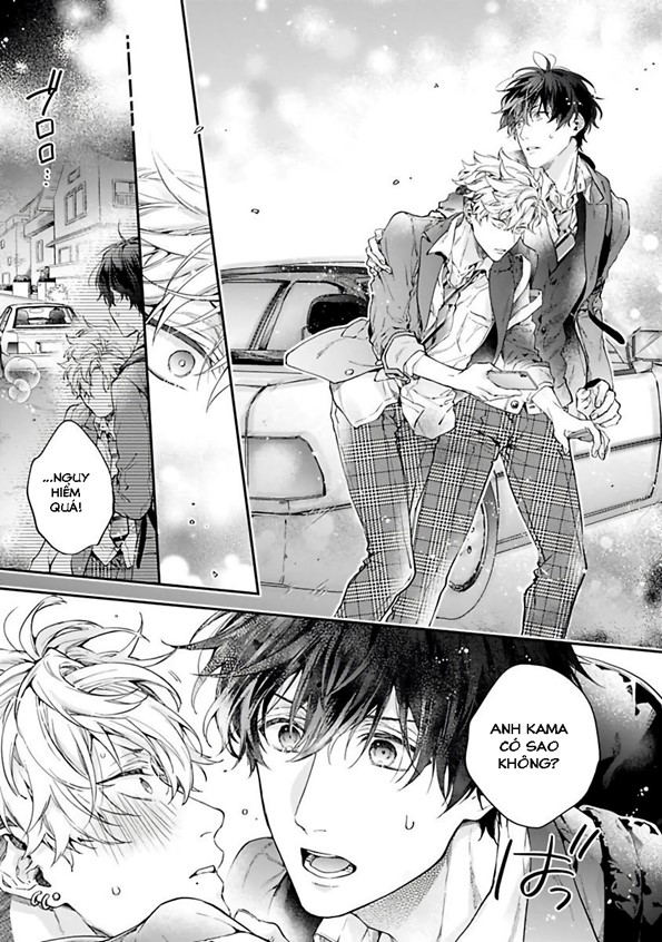 yankee hana-chan no neko kawaigari kareshi chapter 1 12