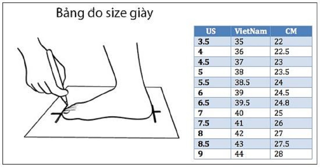 Giày cầu lông nam chính hãng Promax 20001 đủ màu,đủ size - Tặng kèm tất Bendu chính hãng