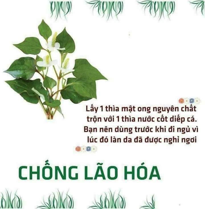 Bột Diếp Cá Nguyên Chất Mẹ Ken 100g - Giúp lành vết thương, mụn nhọt, vết thâm mụn, đắp mặt đẹp da