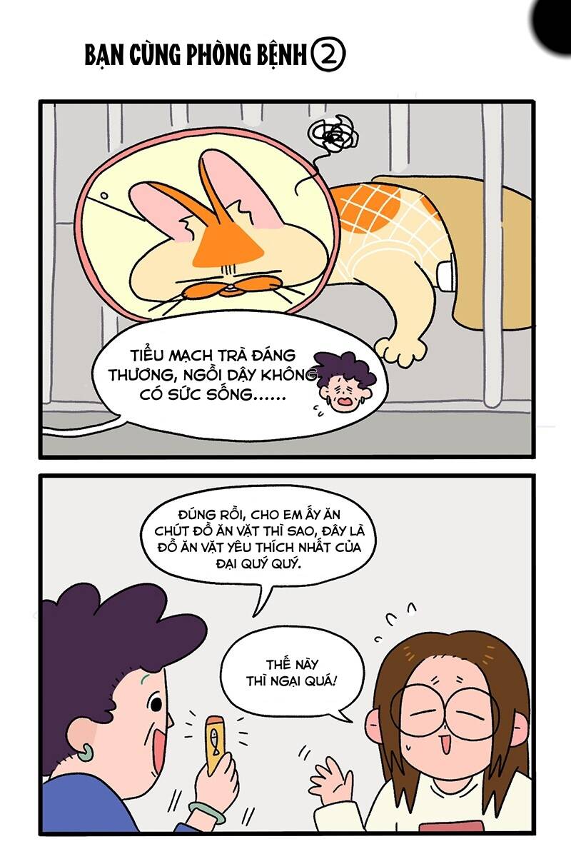 a mãn và mạch trà chapter 18.1 3