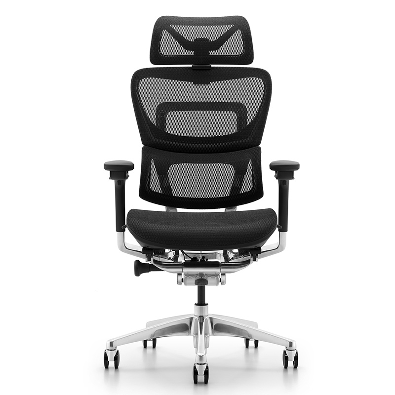 Ghế Công Thái Học Ergonomic Fly Pro Đen - Thiết kế 2 lưng