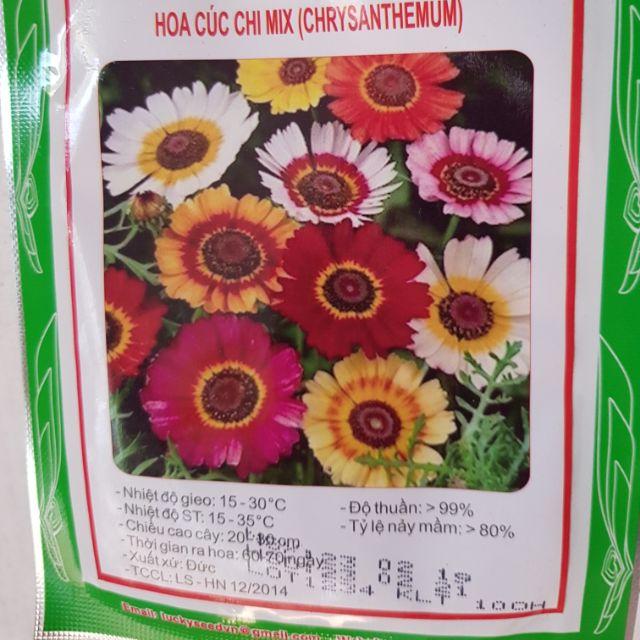 Hat giống cúc chi mix màu