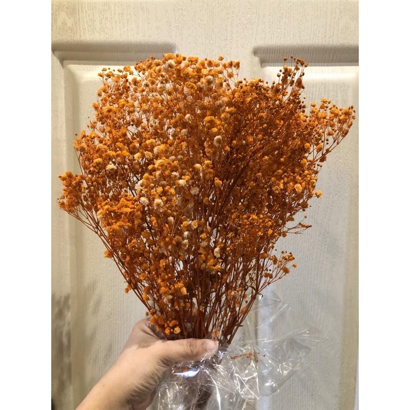 HOA BABY’s BREATH - Baby vĩnh cửu bó thô 120-130gr