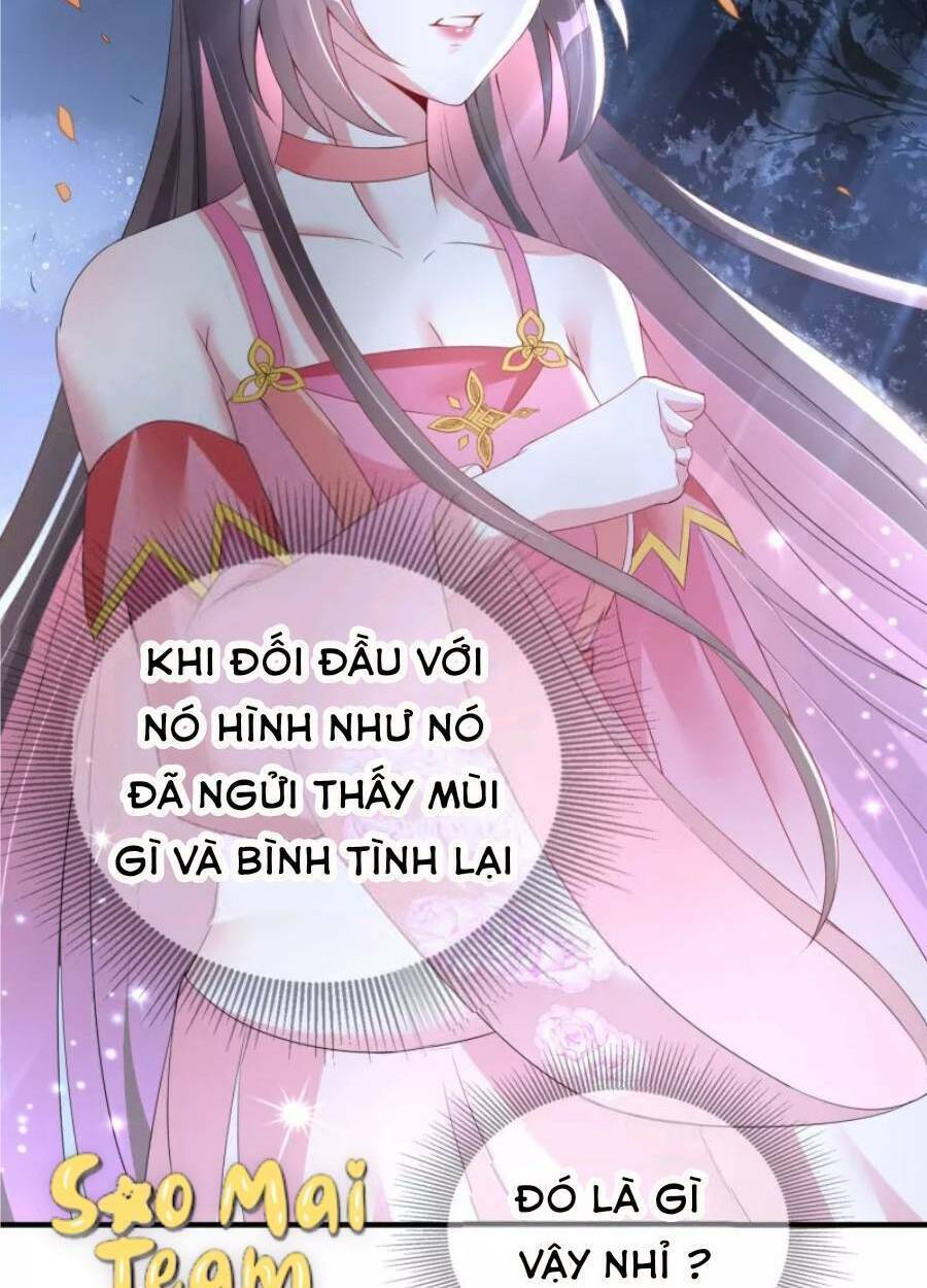 long vương truy thê chapter 6 62