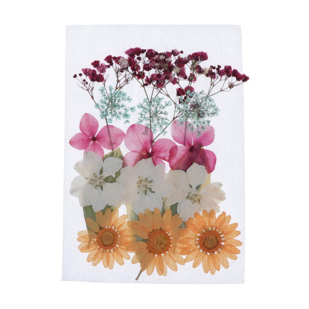 1 Bag Of Real Dried Pressed Flowers Leaves Assorted Colors for Making Greeting Card and Crafts, 2 - 3cm