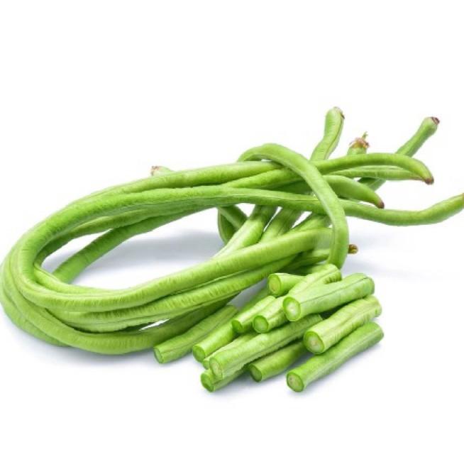 20gr hạt đậu đũa cao sản