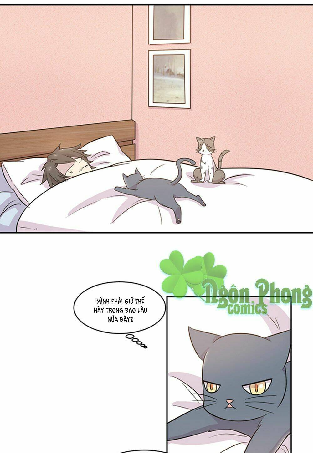 hai chú mèo totem chapter 19 5