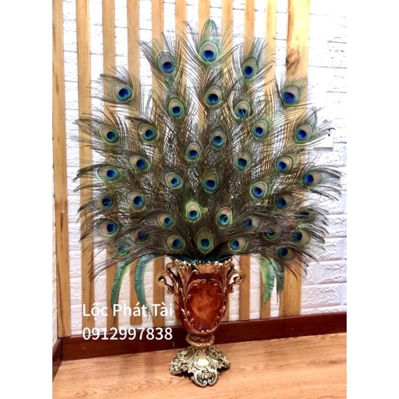 Lông công dài 25-110cm mắt đẹp size vừa, tự nhiên 100% phong thủy tài lộc