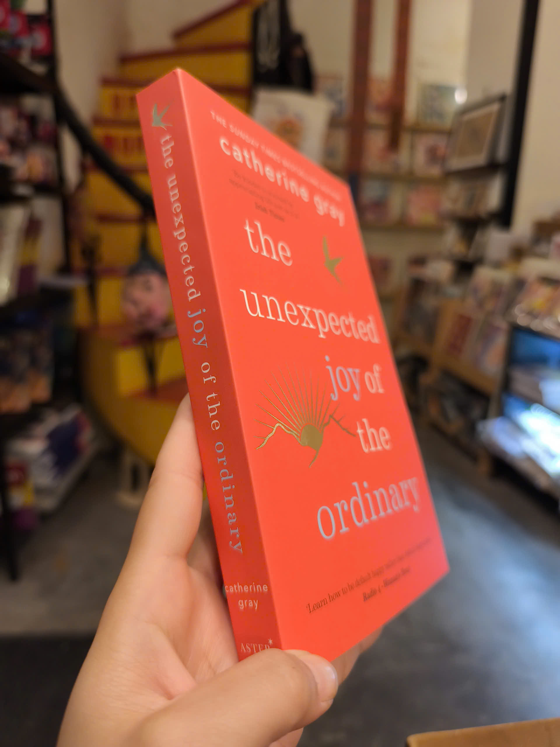 Sách - The Unexpected Joy of the Ordinary by Catherine Gray