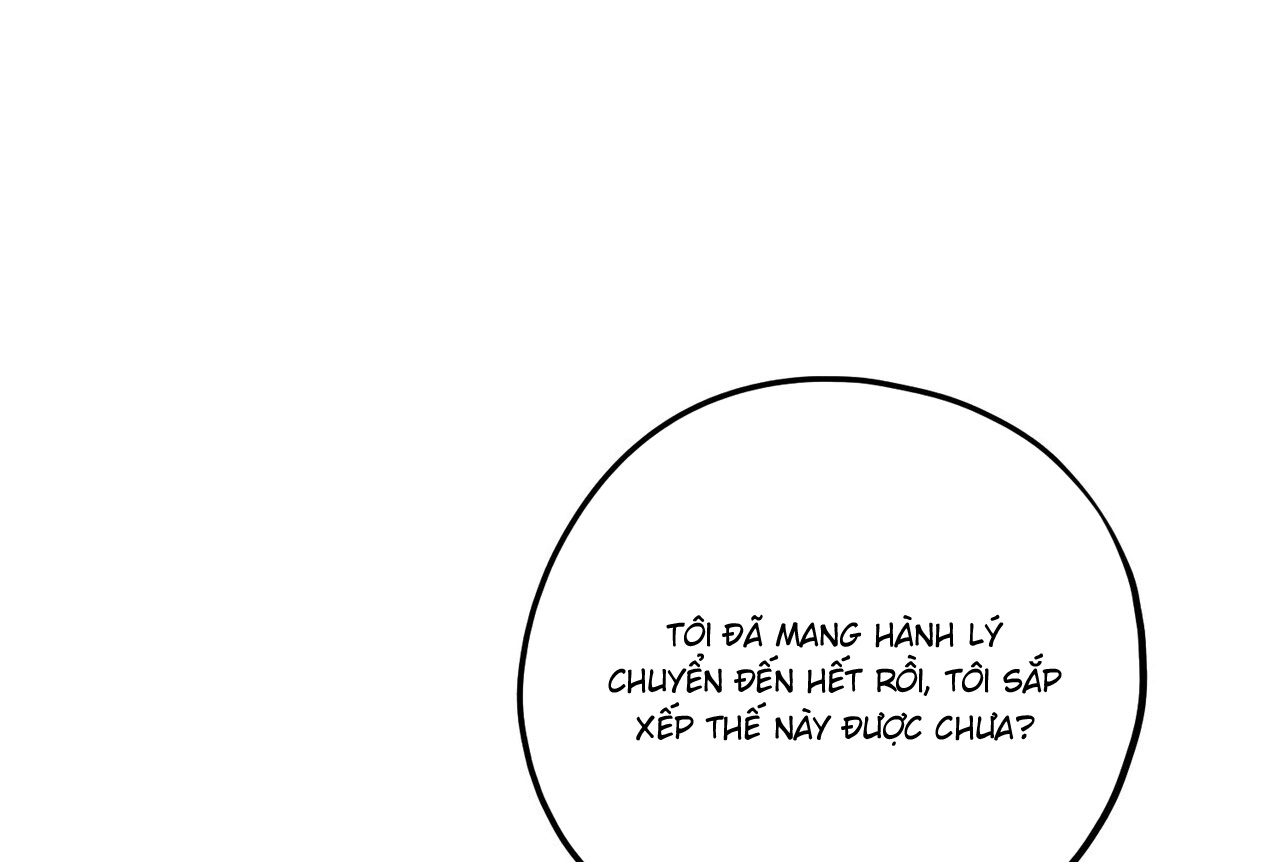 chàng dâu nhà họ kang chapter 40 159