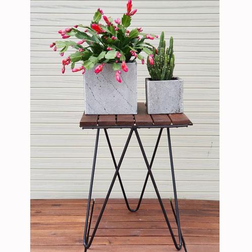 2 Chậu Hoa Đá Ong Xám V15x15cm, V10x10cm Để Bàn Làm Việc