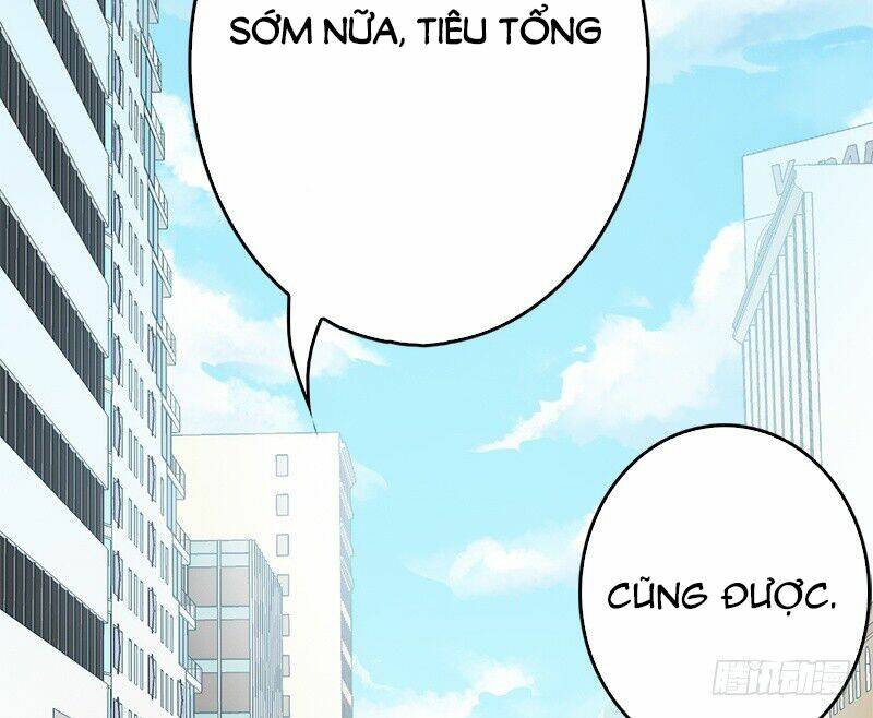 thần bí đế thiếu điềm sủng thê chapter 11 43