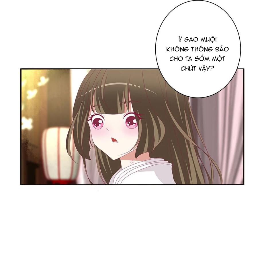 thông linh phi chapter 602 11