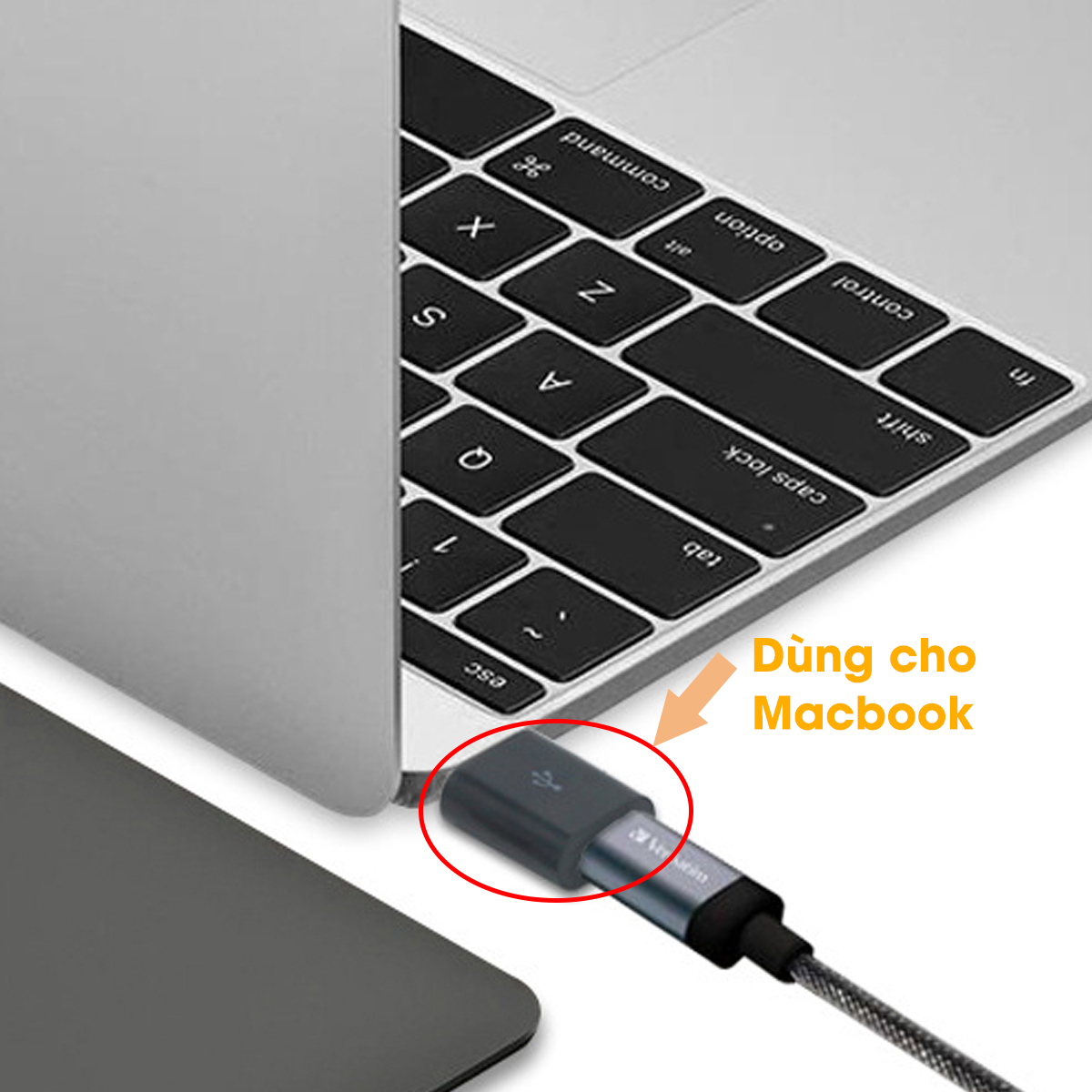 Hạt chuyển đổi OTG từ Typc-C sang cổng USB giành cho macbook, điện thoại, máy tính bảng (PKL03)