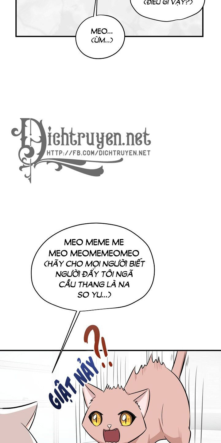 cuộc sống kỳ thú chapter 44 49