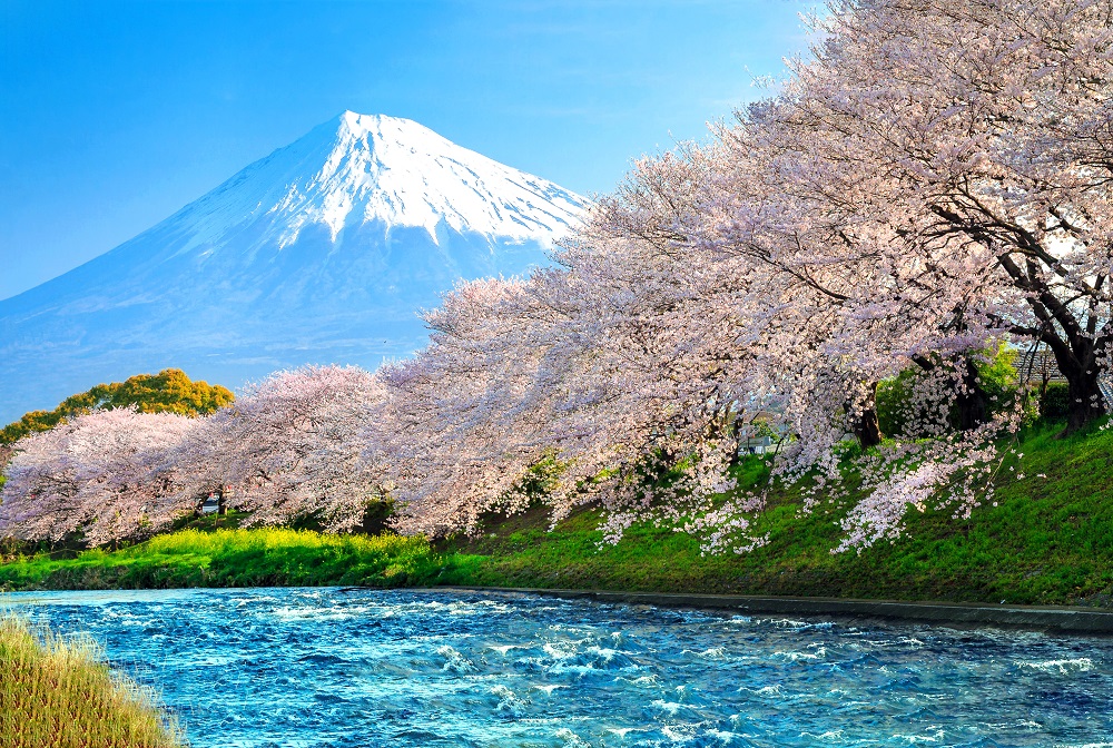 Bộ tranh xếp hình 150 mảnh – Núi Phú Sĩ