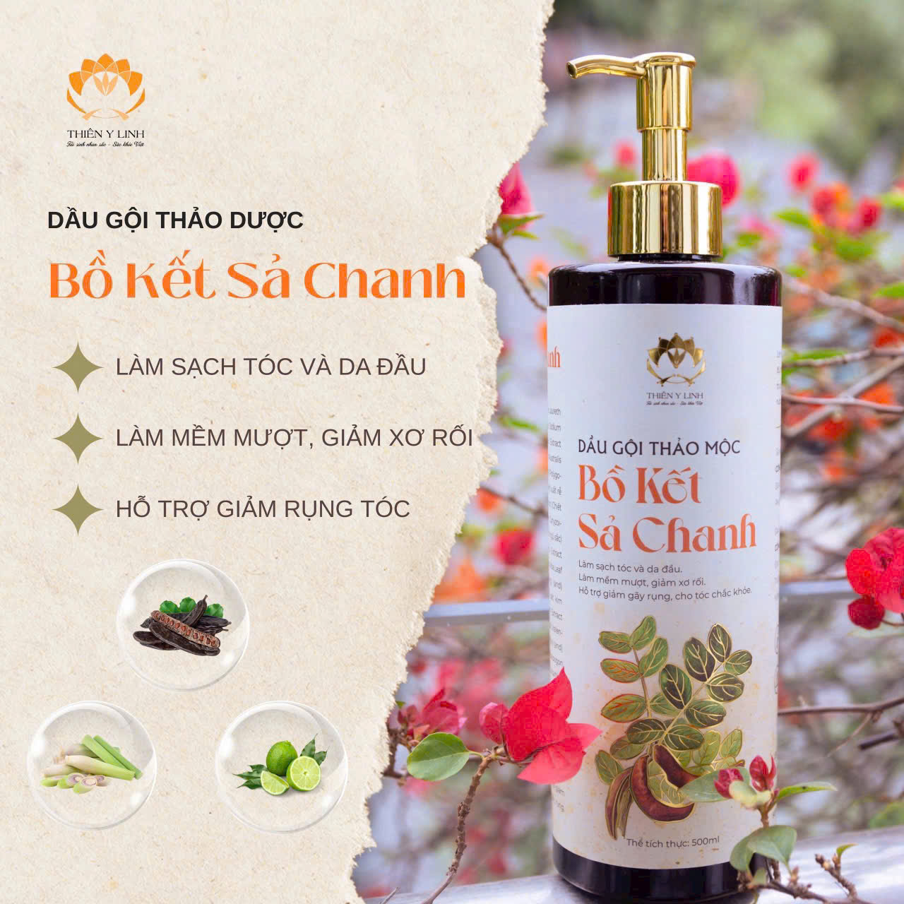 Combo Gội Xả thảo mộc Bồ Kết Sả Chanh Hà Thủ Ô giúp đen và mọc tóc trung niên