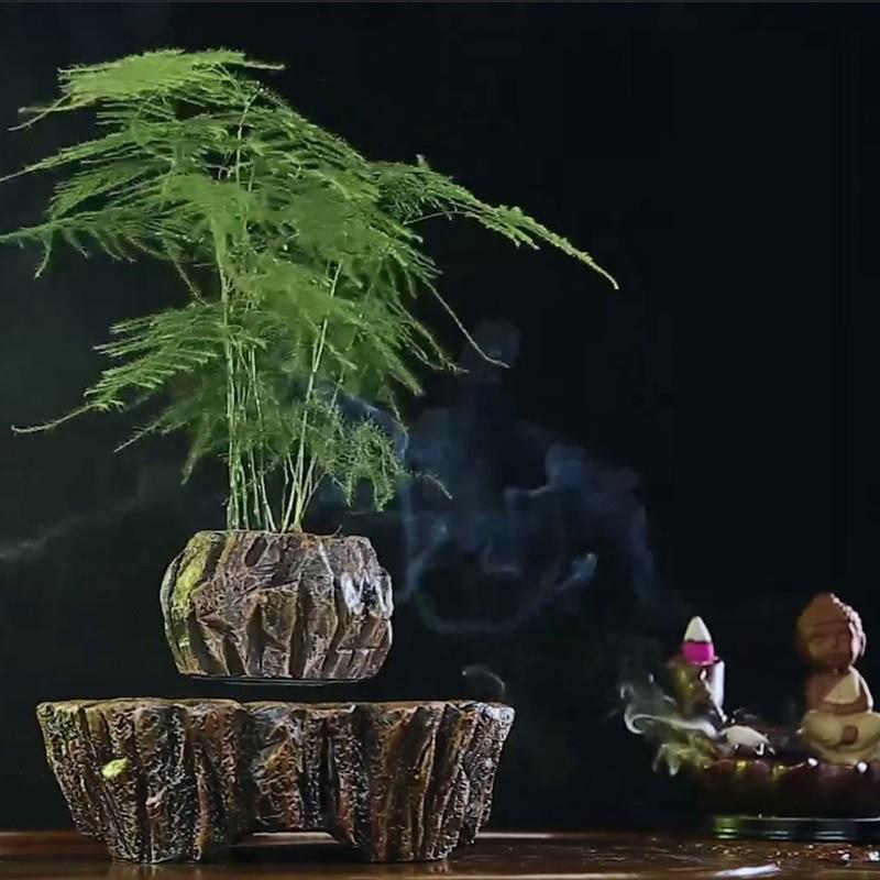 Chậu cây bay Bonsai từ tính trang trí phòng khách phòng làm việc làm quà tặng độc lạ ý nghĩa