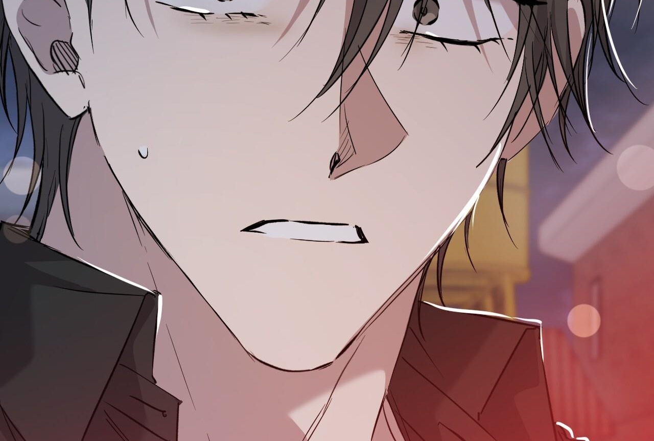 đàn thỏ của habibi chapter 58 247