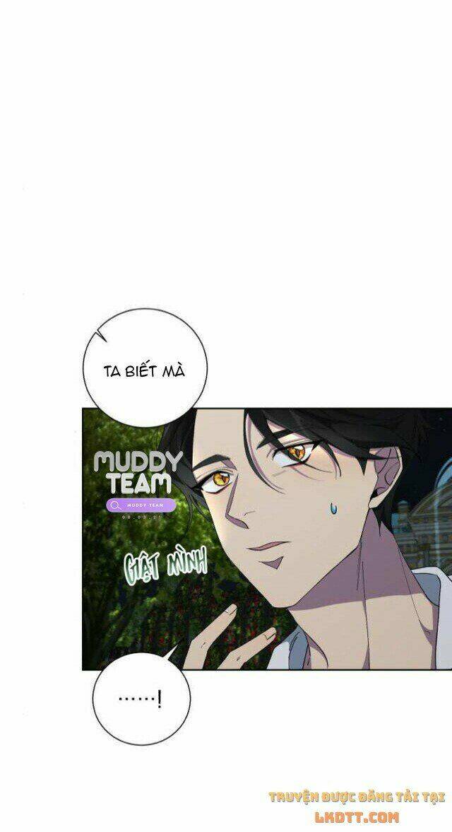 ta đã từng mong nàng biến mất chapter 28 34