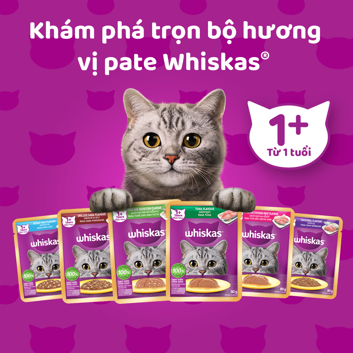 [Combo 12 Gói] Thức Ăn Cho Mèo WHISKAS 1+ years Vị Cá Ngừ, Cá Trắng 80g/Gói